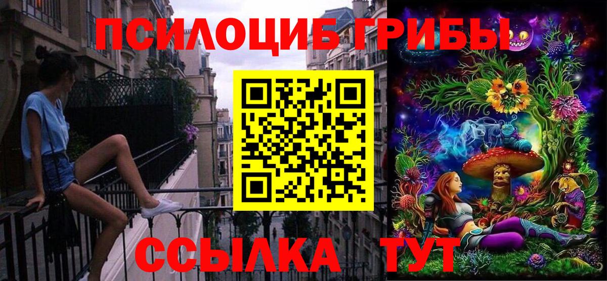 Пенза  что такое   Вход с VPN  Галлюциногенные грибы Psilocybine cubensis 